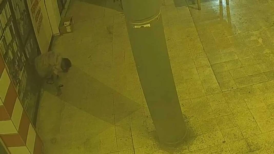 Adana’da Hırsızlık Zincirini Güvenlik Kameraları Ortaya Koydu! 4